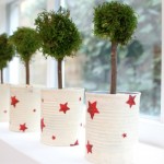 Permalink to Estrelas Estrelas de Natal no blog Detalhes Magicos