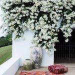 Permalink to Primavera e Bougainvilleas bougainvilleas-e-primavera