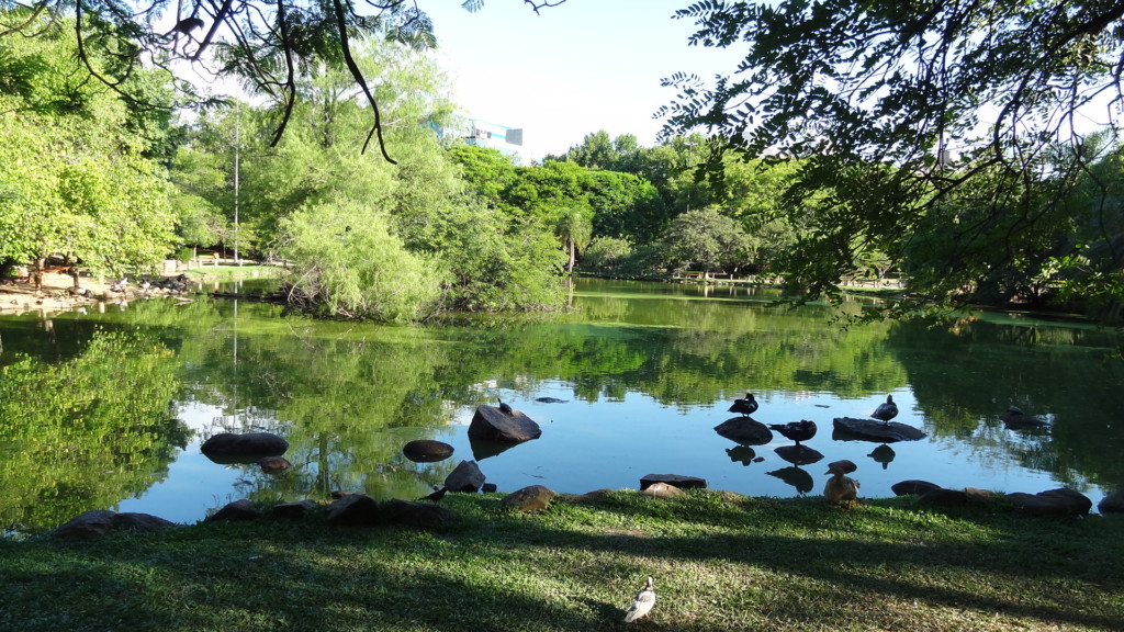 Parcão, Porto Alegre, no blog detalhes magicos