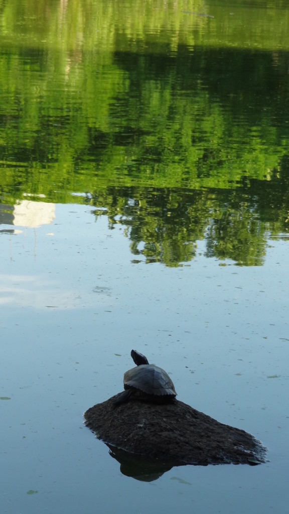 Parcão, Porto Alegre, no blog detalhes magicos