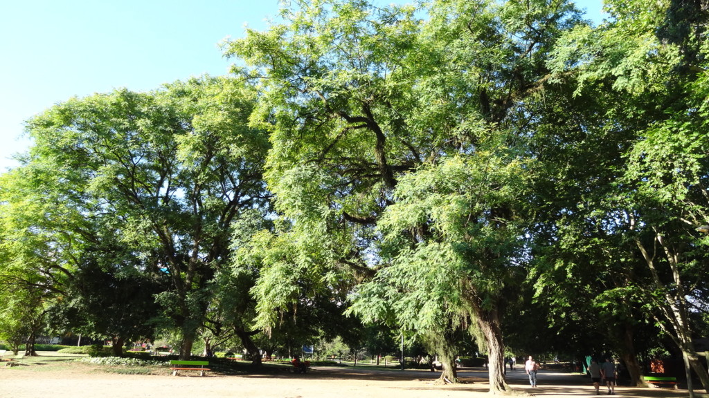 Parcão, Porto Alegre, no blog detalhes magicos