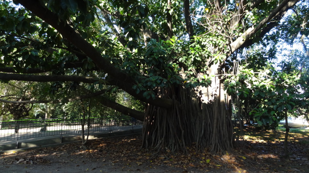 Parcão, Porto Alegre, no blog detalhes magicos