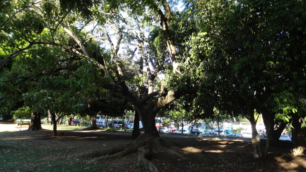 Parcão, Porto Alegre, no blog detalhes magicos