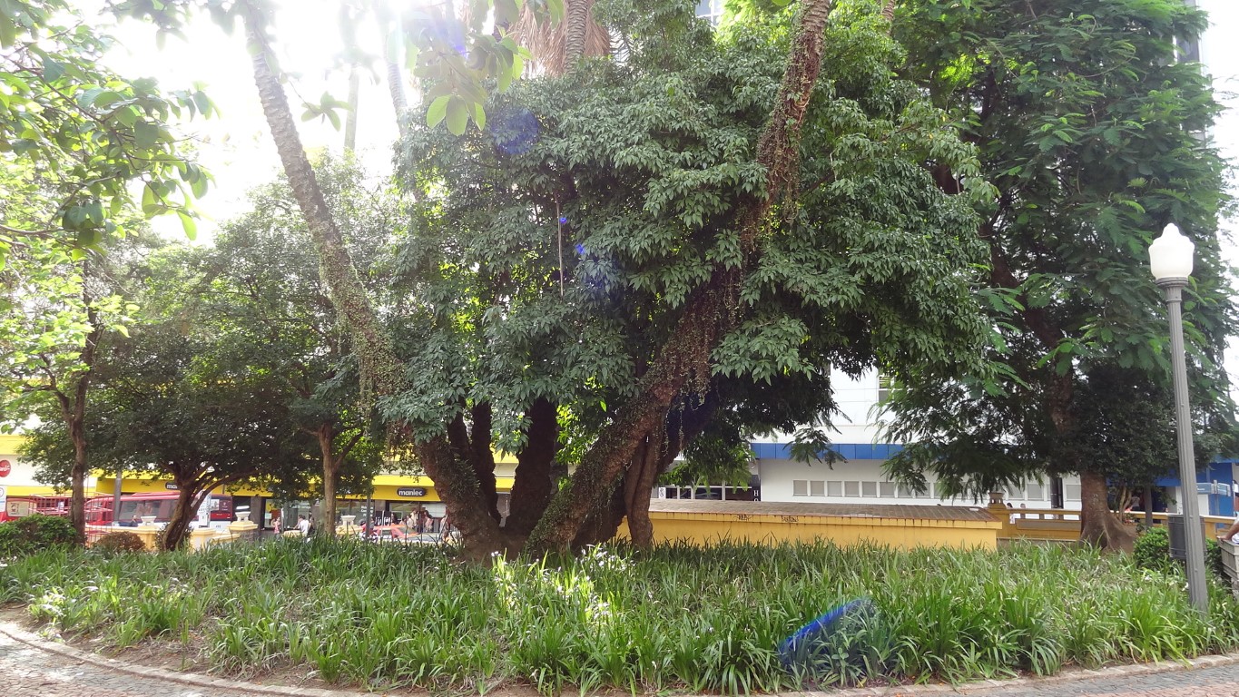 Praça Otavio Rocha em Porto Alegre, no blog Detalhes Magicos
